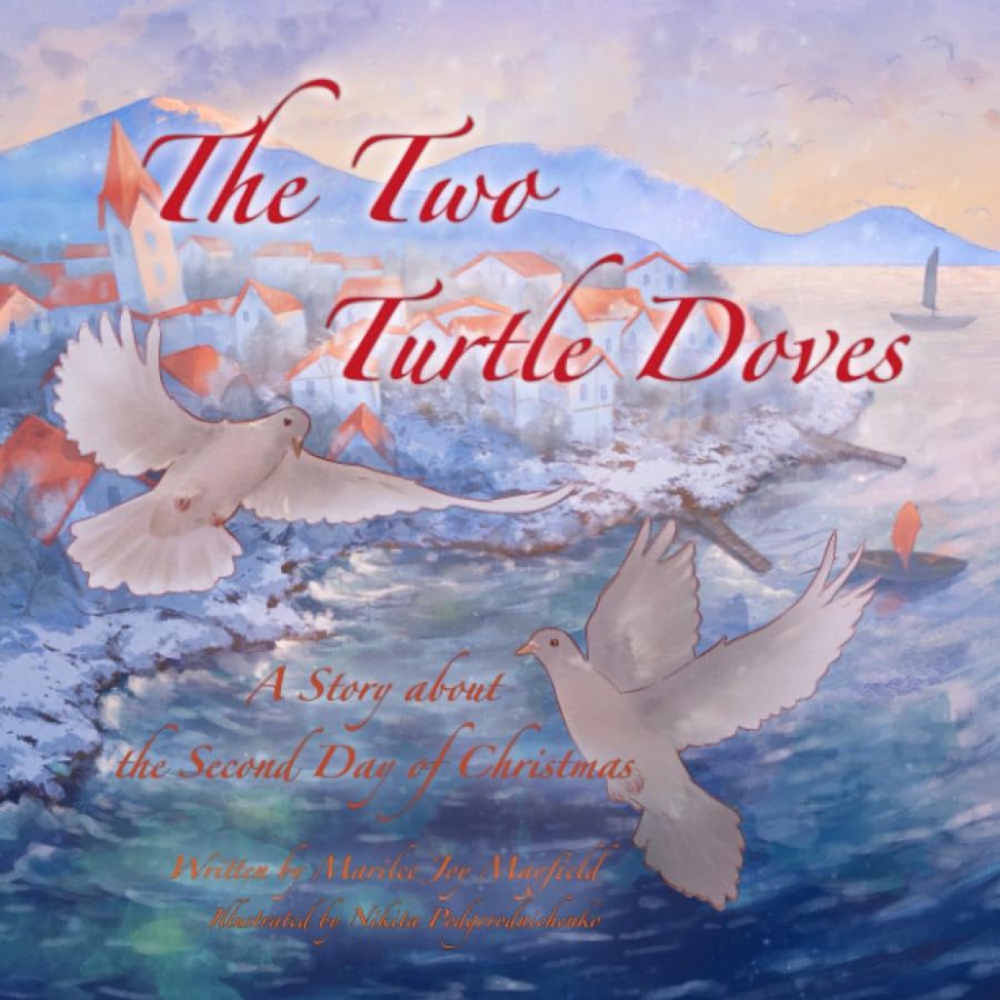 The Two Turtle Doves book cover